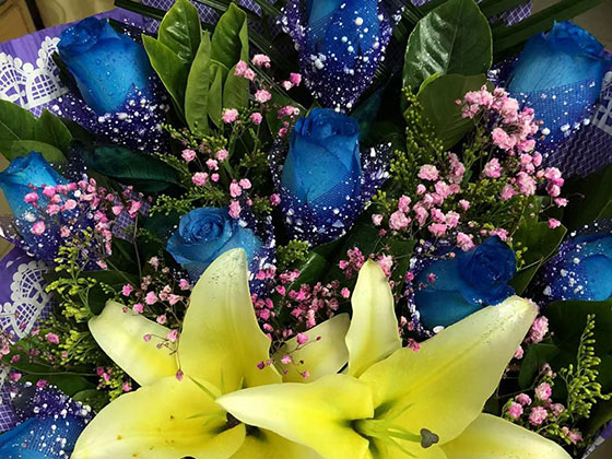 哈尔滨屋顶及阳台绿化-广场花坛摆设设计